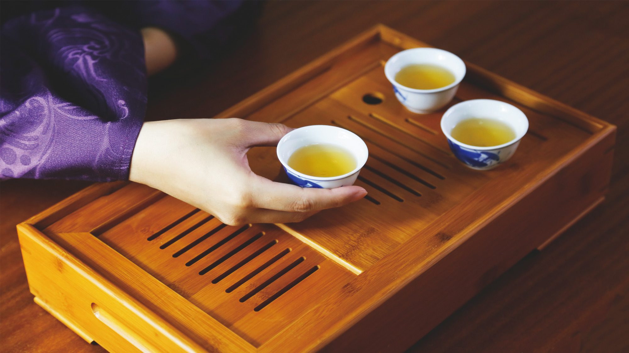 萃桑黃茶包
